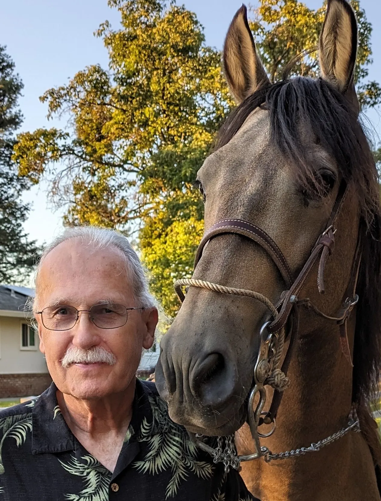 A picture of Jim Alley with a horse.